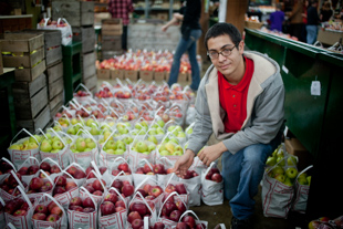 Carlos Pretado of Kewanee, IL works at Tanner Orchard. He likes the weekend hours 
because he can work around school. Due to the frost this spring, there are no apples to pick this year, 
but there are plenty available inside. Carlos likes the Honey Crisp variety.