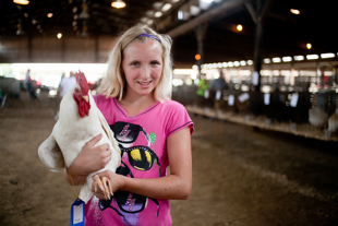 Regina Rudy a 7th grader from Princeville and her ‘White Giant’ rooster.  
She is showing her rooster at the Peoria County 4-H Show, this is her 9th year to do so.