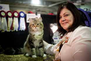 Kim McDaniel with her Siberian Cat, Kehryli, which is Finnish for ‘purrs all the time’. 
They are at the American Gothic Cat Club Show. Kim is from Indianapolis and travels to cat shows 
all over the country. Kehryli is a Grand Champion and Regional Champion Cat.