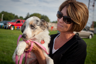 Laurie Bushell has been part of the Foster Pet Outreach in Peoria for 4 years, since her kids left home. 
 She is with Izzy, her 6 month old Australian Shepherd, at the 