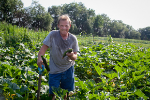 Ron Dehn, is the owner of Ron's Produce at the corner of Alta and Radnor Road. 
He is standing in a quarter acre of squash on his 10 acre farm. Top notch produce and a friendly salesman.